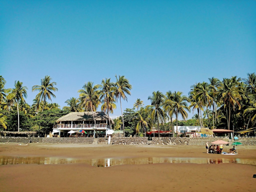 Sandy El Zonte beach with palm trees and a thatched hut on the La Libertad coast of El Salvador