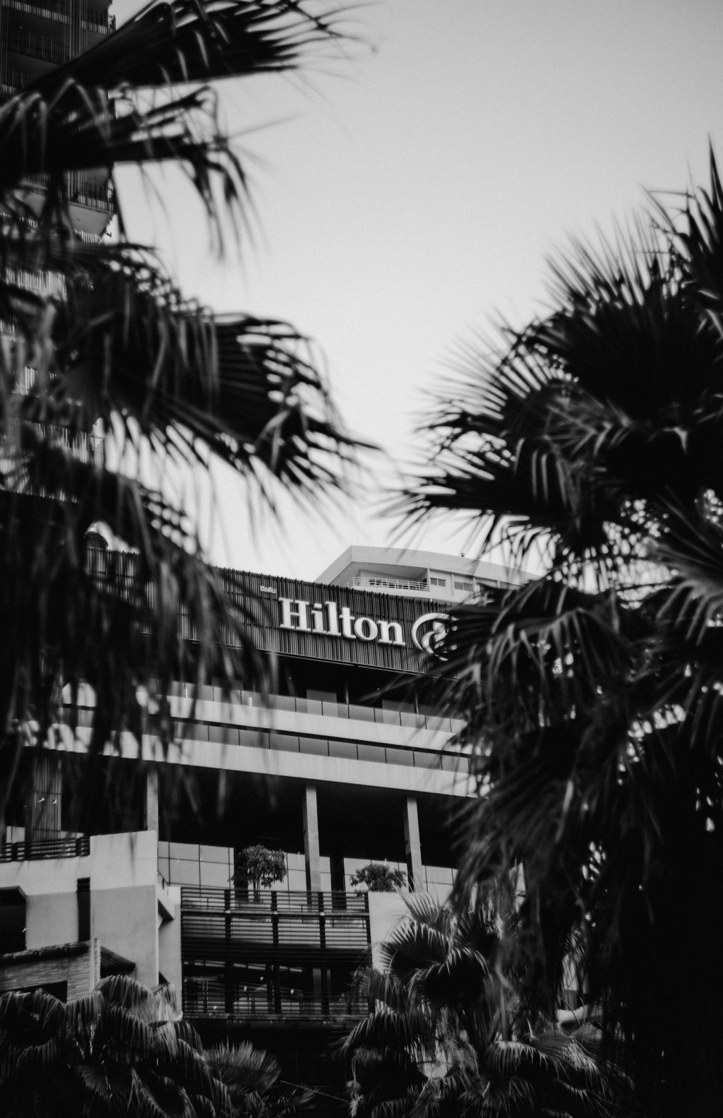 Exterior of a Hilton hotel building with trees in the foreground on a sunny day