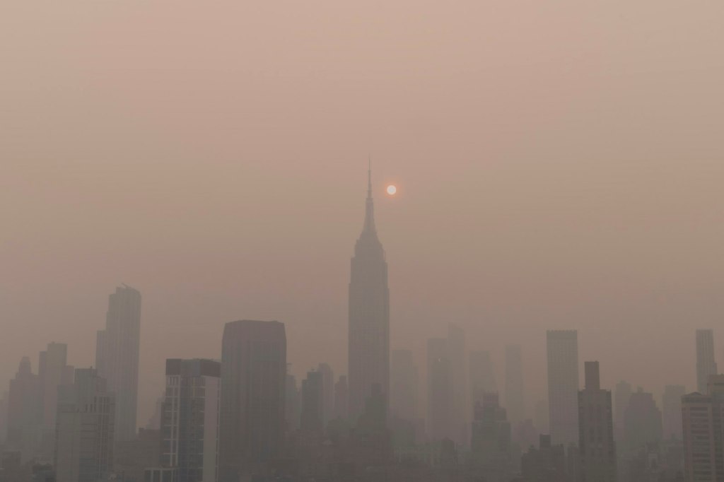 Air Pollution and Broccoli Sprouts: What Dr. Rhonda Patrick Says About Sulforaphane for Big-City Travelers