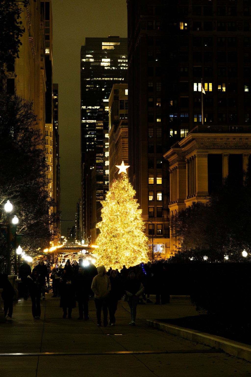 A lighted Christmas tree in downtown Chicago at night