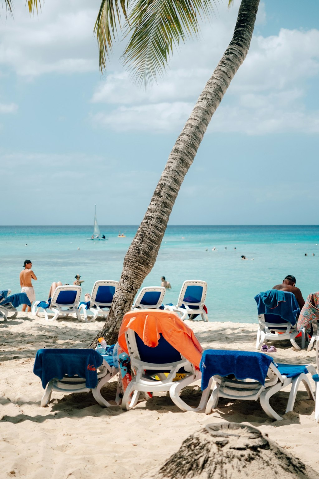 Beach chairs under a palm tree facing turquoise Caribbean water