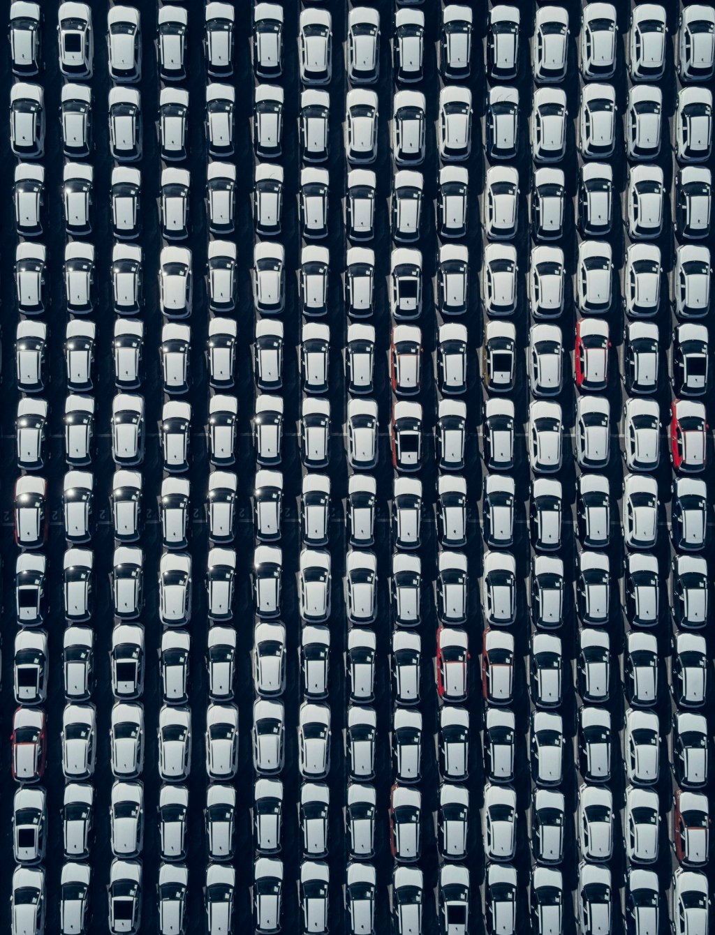 Aerial view of rows of white cars parked neatly in a lot